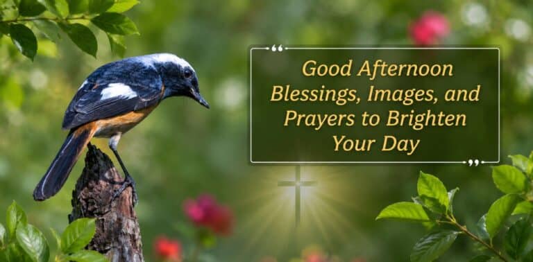 Good Afternoon Blessings with beautiful images and prayers to brighten your day.