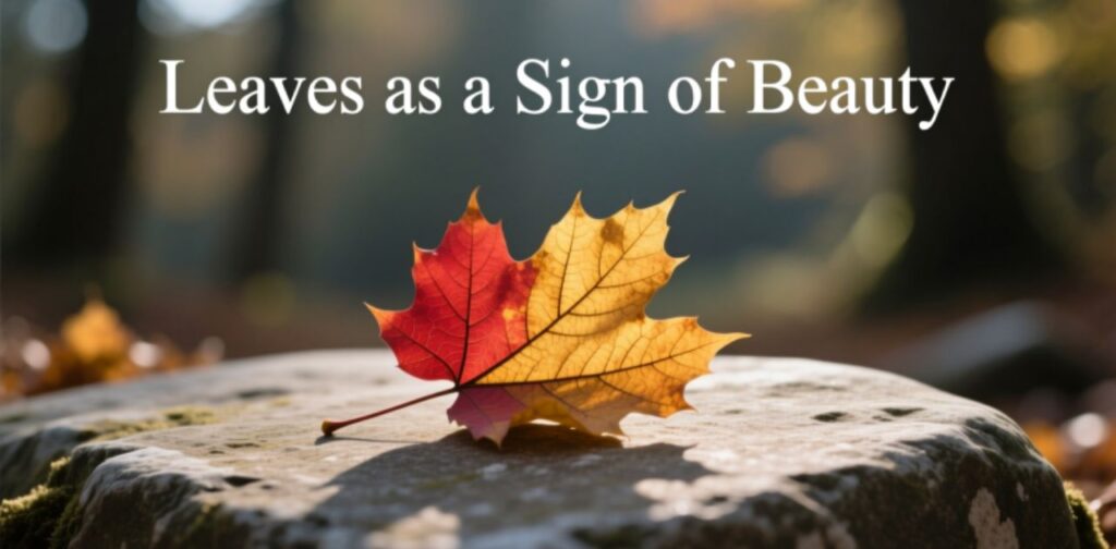 Leaves symbolizing beauty and God’s creation in the Bible.