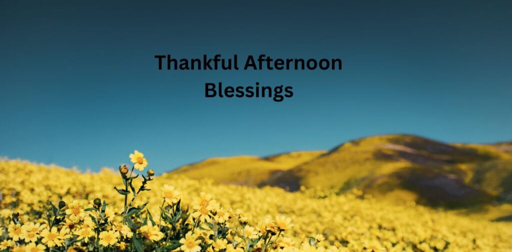 Thankful Afternoon Blessings to inspire gratitude and positivity.