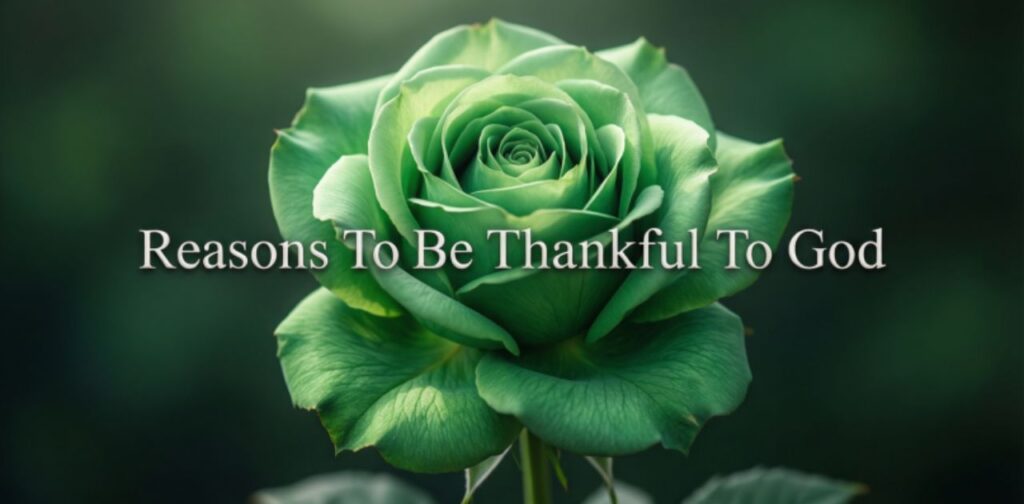 Reasons To Be Thankful To God, showing gratitude, blessings, faith, and the joy of His guidance and love in daily life.