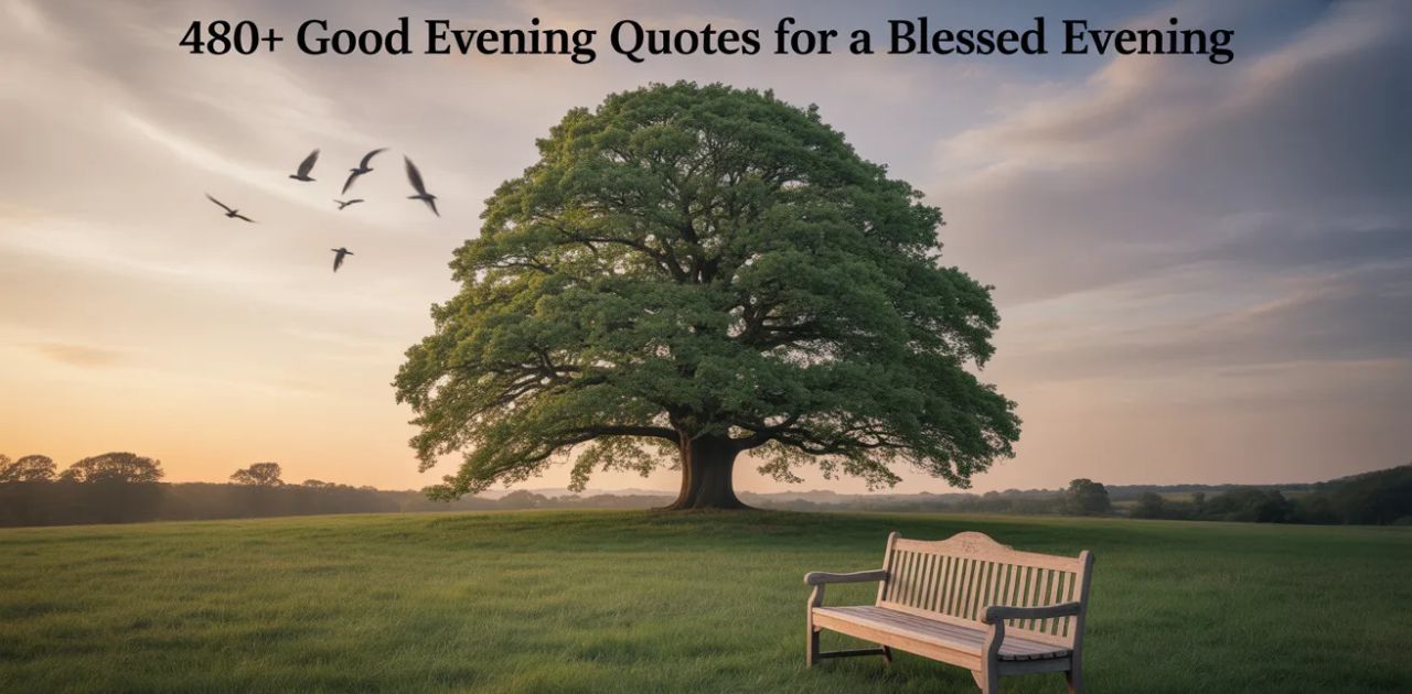 Collection of 480+ Good Evening Quotes for a Blessed Evening to inspire calm, positivity, and peaceful reflections at dusk.