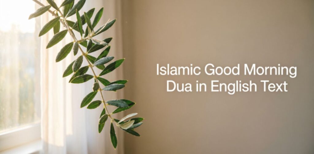 Beautiful Islamic Good Morning Messages and morning dua in English text.