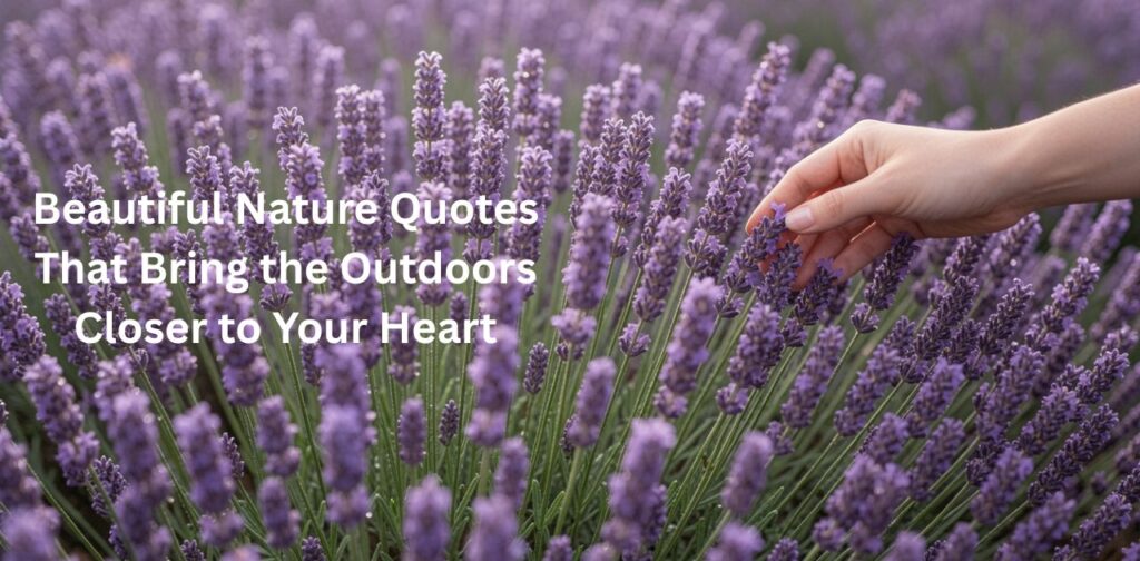 Heart-touching nature love quotes for outdoor peace and connection