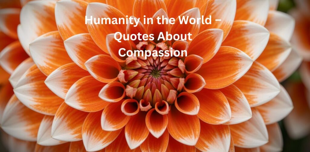 Humanity in the World – Quotes About Compassion meaningful humanity quotes on compassion, shared humanity, and human values worldwide