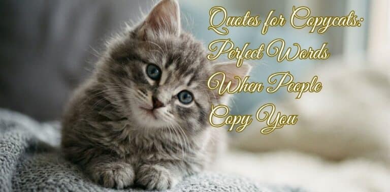 Quotes for Copycats: Perfect Words When People Copy You.