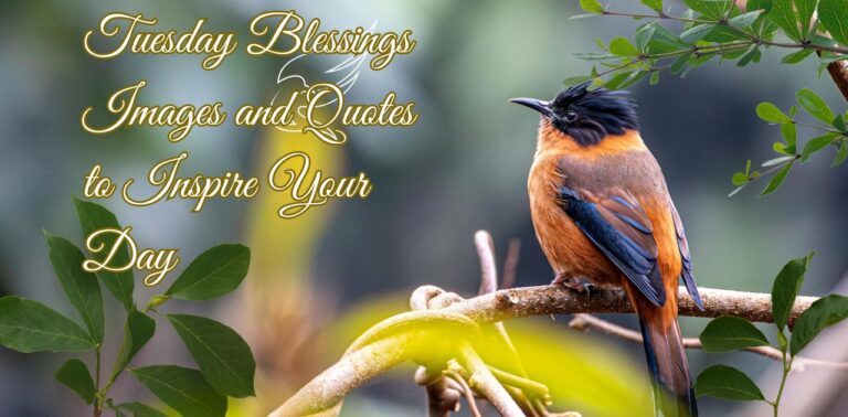 Tuesday Blessings images and quotes to inspire your day with positivity and hope.