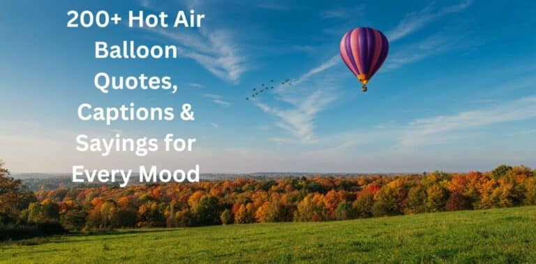 hot air balloon quotes captions and sayings for every mood.