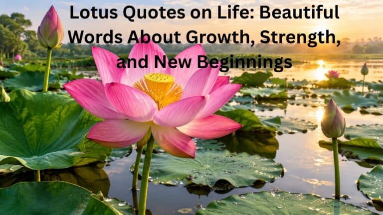 Lotus Quotes on Life inspired by growth, inner strength, and new beginnings.